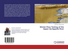 Copertina di Winter Flow Testing of the Upper Qu'Appelle River