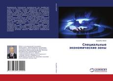 Copertina di Специальные экономические зоны