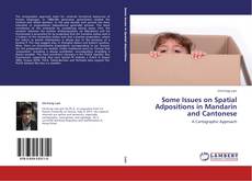 Copertina di Some Issues on Spatial Adpositions in Mandarin and Cantonese