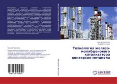 Bookcover of Технология железо-молибденового катализатора конверсии метанола