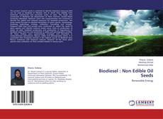 Copertina di Biodiesel : Non Edible Oil Seeds