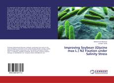 Bookcover of Improving Soybean (Glycine max L.) N2 Fixation under Salinity Stress