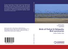 Bookcover of Birds of Pulicat & Nelapattu Bird sanctuaries