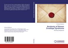 Couverture de Anatomy of Brown Envelope Syndrome