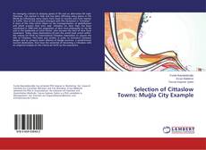 Couverture de Selection of Cittaslow Towns: Muğla City Example