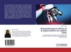 Copertina di Histopathological effects of α-Cypermethrin on rabbit's testis