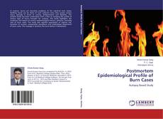 Capa do livro de Postmortem Epidemiological Profile of Burn Cases 