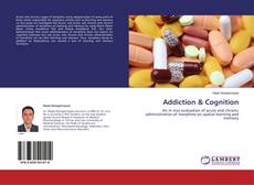 Buchcover von Addiction & Cognition