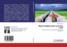 Copertina di Идентификация утечек газа
