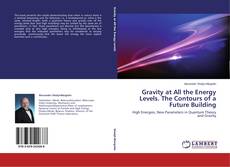 Capa do livro de Gravity at All the Energy Levels. The Contours of a Future Building 
