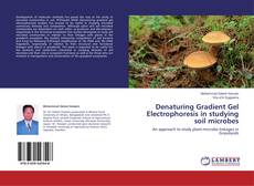 Buchcover von Denaturing Gradient Gel Electrophoresis in studying soil microbes