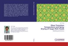 Glass Transition Temperature and Spray Drying of Sugar-Rich Foods的封面