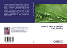 Copertina di Alveolar Bone Grafting In Cleft Patients