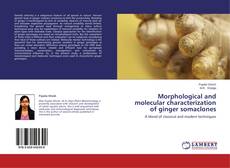 Buchcover von Morphological and molecular characterization of ginger somaclones