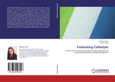 Buchcover von Evaluating Catholyte