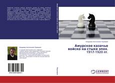 Buchcover von Амурское казачье войско на стыке эпох. 1917-1920 гг.