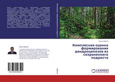Buchcover von Комплесная оценка формирования дендроценозов из сохраненного подроста