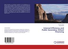 Buchcover von Internal Efficiency and Public Secondary School Financing