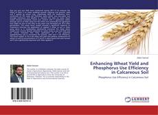 Buchcover von Enhancing Wheat Yield and Phosphorus Use Efficiency in Calcareous Soil