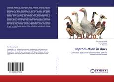 Buchcover von Reproduction in duck