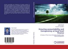 Copertina di Ensuring accountability and transparency at local level finance