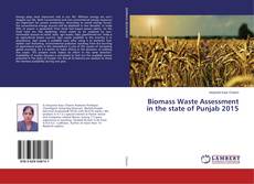 Copertina di Biomass Waste Assessment in the state of Punjab 2015