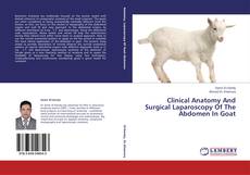 Capa do livro de Clinical Anatomy And Surgical Laparoscopy Of The Abdomen In Goat 