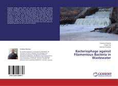 Buchcover von Bacteriophage against Filamentous Bacteria in Wastewater