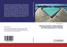 Copertina di Photocatalytic Degradation of Chlorophenol in Water