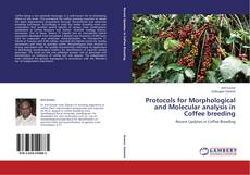 Buchcover von Protocols for Morphological and Molecular analysis in Coffee breeding