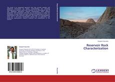 Copertina di Reservoir Rock Characterization