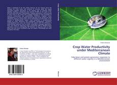 Couverture de Crop Water Productivity under Mediterranean Climate