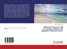 Copertina di Mixing Processes and Circulation Pattern off Egyptian Mediterranean