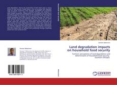 Copertina di Land degradation impacts on household food security