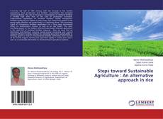 Capa do livro de Steps toward Sustainable Agriculture : An alternative approach in rice 