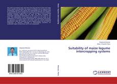 Copertina di Suitability of maize legume intercropping systems