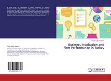Copertina di Business Incubation and Firm Performance in Turkey
