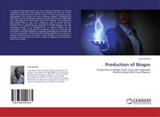 Production of Biogas kitap kapağı