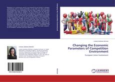 Copertina di Changing the Economic Parameters of Competition Environment