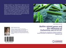 Capa do livro de Biofilm related genes and the adherence of Escherichia coli O157:H7 