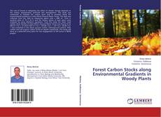 Forest Carbon Stocks along Environmental Gradients in Woody Plants的封面