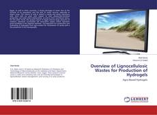 Buchcover von Overview of Lignocellulosic Wastes for Production of Hydrogels