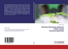Copertina di Semiconducting polymer metal oxide nanocomposites