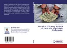 Обложка Technical Efficiency Analysis of Provincial Hospitals in Afghanistan
