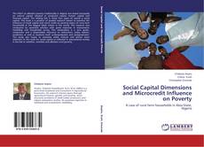 Copertina di Social Capital Dimensions and Microcredit Influence on Poverty
