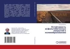 Copertina di Устойчивость асфальтобетонных покрытий к колееобразованию