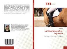 Bookcover of La Césarienne chez la jument