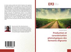 Bookcover of Production et caractérisation phénotypiques des ferments d'Igname