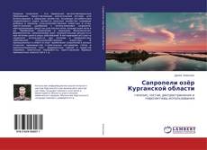 Сапропели озёр Курганской области的封面