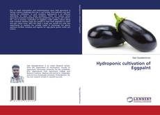 Copertina di Hydroponic cultivation of Eggpalnt